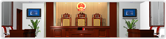 重庆庭审全过程代理